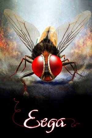 Nani is a flower decorator, madly in love with his neighbor Bindhu. He gets killed by the baddie, Sudeep, a powerful businessman. Nani comes back as a housefly to get his revenge.