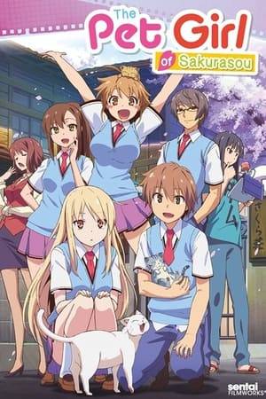 Sorata Kanda, a high school sophomore living in Sakurasou, the den of their academy's problem children, spends his days being dragged around by the strange residents, swearing he's going to escape Sakurasou one day.