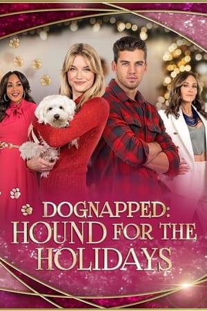 When an egotistical social media influencer's dog is kidnapped, her long-suffering assistant teams up with charming local vet to find the puppy before Christmas. As the two investigate suspects, they form a romantic bond along the way.