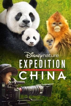 Expedition China invites you on location in some of the world's most intense, hard-to-reach environments with the filmmakers of Disneynature's big-screen adventure Born in China.