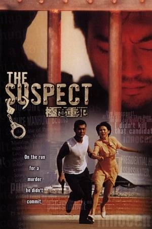 Louis Koo plays an assassin who wants to go straight after getting out of prison, so he turns down a job from his former employer Simon Yam to kill a politician. Yam carries out the hit himself and manages to frame Koo for the crime, who then must run from both the cops and criminals as he tries to clear his name.