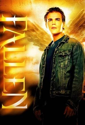 The phenomenal journey of Aaron Corbett, an 18-year-old Nephilim (half-angel/half human), as he struggles to come to terms with his role as The Redeemer and is drawn into a world where angels walk among us.