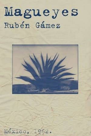 Experimental filmmaker Rubén Gámez explores the iconography of the maguey plant in Mexican cinematic history.