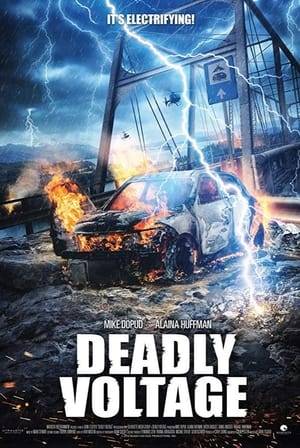 A fractured family, caught in a deadly lightning storm, is forced to come together to save their lives.