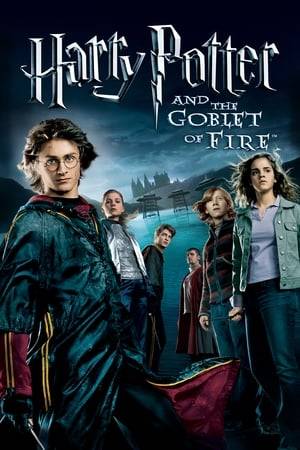 When Harry Potter's name emerges from the Goblet of Fire, he becomes a competitor in a grueling battle for glory among three wizarding schools—the Triwizard Tournament. But since Harry never submitted his name for the Tournament, who did? Now Harry must confront a deadly dragon, fierce water demons and an enchanted maze only to find himself in the cruel grasp of He Who Must Not Be Named.