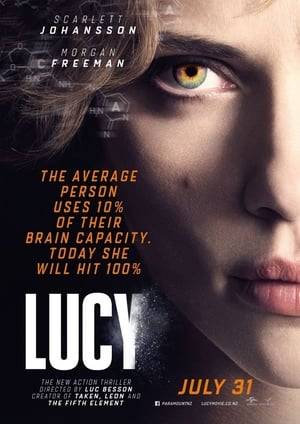 A woman, accidentally caught in a dark deal, turns the tables on her captors and transforms into a merciless warrior evolved beyond human logic.