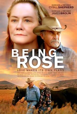 A widowed ex-cop discovers that she may have a life threatening illness, and decides to go on a solo road trip in a motorized wheelchair to explore the beauty of the Southwest. On her journey, Rose discovers more than just the simple beauty of New Mexico when she meets -- and falls in love with -- Max, an old cowboy who comes to a crossroads of his own. Sometimes love takes the backroads.