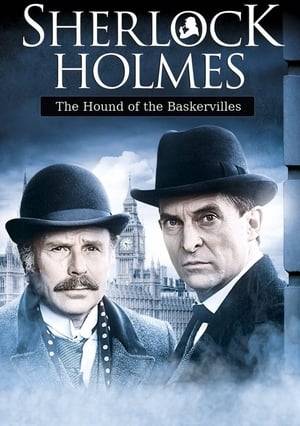 Sir Charles Baskerville dies on the moor under mysterious circumstances and rumors abound about a demonic hound. When the American heir arrives to take charge, a family friend calls in Holmes and Watson to get to the heart of the mystery.