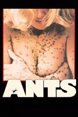 A lakeside resort comes under attack by a seemingly infinite hoard of flesh-eating ants.