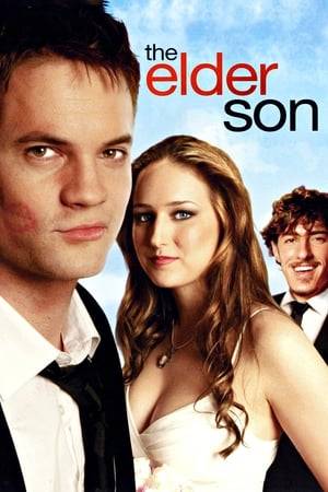 A thief on the run convinces a single father that he is his long-lost son. Complications ensue when he falls in love with his newfound "sister".