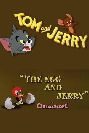 A lost baby woodpecker, that believes Jerry is its mother, does everything it can to save the mouse from Tom, who is once again in pursuit. A CinemaScope remake of the 1949 Tom and Jerry cartoon Hatch Up Your Troubles.
