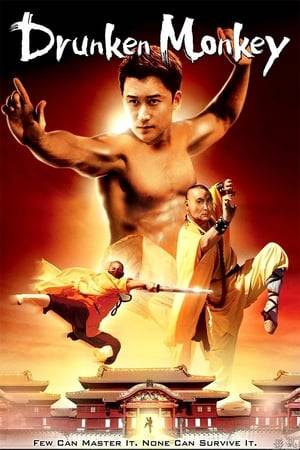 China, the early 1930's: martial arts master Wen Biao discovers that his brother has been using their security company for illegal activities. A confrontation between the brothers leaves Web Biao missing and presumed dead.
