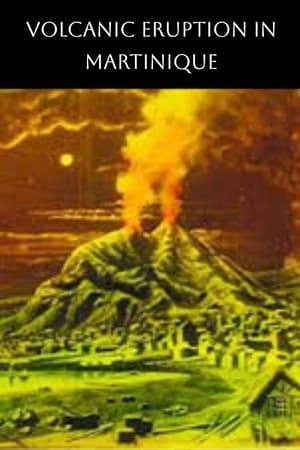 This picture depicts the eruption of the volcano by which over 30,000 souls were hurled into eternity. The numerous explosions which took place during the eruption are plain to be seen. Thousands upon thousands of tons of molten lava, sand, rocks and steam are thrown high in the air and descend with crushing force upon the unfortunate inhabitants of the doomed city of St. Pierre. This is the worst calamity which occurred since a similar eruption by Mt. Vesuvius when Pompeii was destroyed. (Lubin Catalog)
