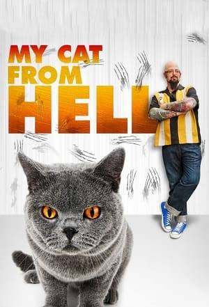 From cats that break up relationships to violent felines that put their owners in the hospital, cat behaviorist Jackson Galaxy has seen it all. Follow Jackson as he brings his unique understanding of cats to desperate families on the verge of giving up on their furry companions.