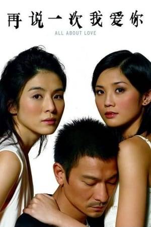 Andy Lau plays a husband who only learns the importance of expressing his tremendous love for his wife when it is too late.