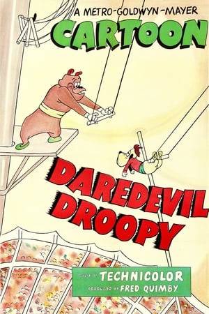 Droopy and Spike are applying for the job of Dare Devil Dog at the Circus, and the one who give the best performance in a variety of "feats of strength and daring" will get it.