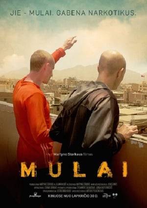 A story of three young Europeans, who fell victims to a momentary lapse of reason and currently serve their terms in prisons around South America. By following their daily lives and dissecting their deepest motivations, the film reconstructs the breaking point which turns young, optimistic, people into mere beasts of burden.