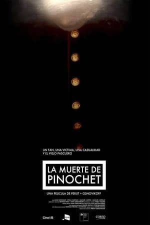 On December 10th, 2006, General Pinochet dies unexpectedly at Santiago's Military Hospital. His decease triggers a 24 hours revival of political divisions that marked with violence and death Chilean recent history. With high quality original footage and testimonies of four characters that deeply experienced a journey of strong contrasts and surrealistic nuances, the film narrates in an innovative, exciting way the ending of a key chapter in Chilean history.
