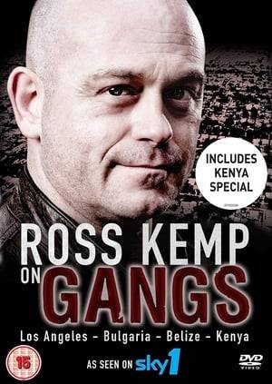 Ross Kemp on Gangs is a BAFTA award-winning documentary series that was broadcast on Sky1 from 16 October 2006 to 22 September 2008. On 20 May 2007 the series won a BAFTA award for best factual series. The show is hosted by actor Ross Kemp, best known for his role of Grant Mitchell in the show EastEnders where Kemp's character was involved in several storylines involving gangs.

On the show Kemp travels around the world talking to gang members, locals who have been affected by gang violence, and the authorities who are attempting to combat the problem. In each episode he attempts to establish contacts within the gangs who can arrange interviews with the gangs' leaders.