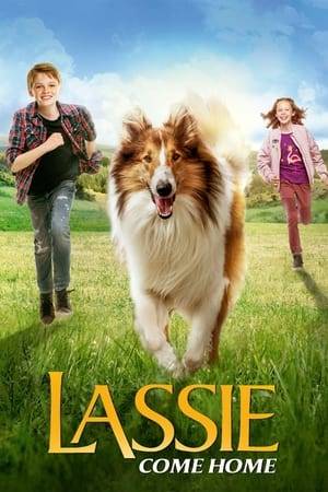 12-year-old Florian and his beloved dog Lassie live in an idyllic village in the German countryside. When Florian's father loses his job, the family have to move into a small apartment where there are no dogs allowed. Lassie is given away to another family, but Florian and Lassie yearn to be reunited again so Florian sets out on an adventure to find his best friend.