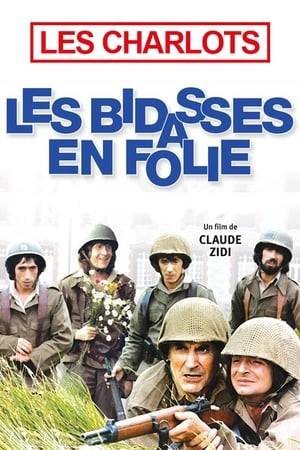 Les Bidasses en Folie, a french movie from 1971, is a very short, easy to watch, slapstick hippie comedy.
