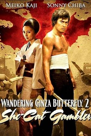 Meiko Kaji reprises her role as Nami, a vengeful female gang leader, in the second installment of this high-action series that casts a new actor -- martial arts legend Sonny Chiba -- in the role of Nami's loyal friend Ryuji. This time around, Nami is looking for Hoshiden, the man who murdered her father and shattered her once-hopeful childhood. But living under an assumed name, Hoshiden could stay hidden forever.