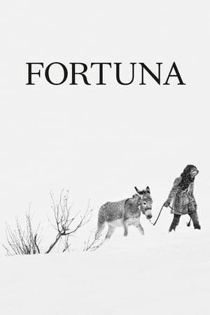 Fortuna, a 14-year-old Ethiopian girl, has had no news of her parents since they crossed the Mediterranean Sea. Together with other refugees, she is given shelter for the winter in a Swiss catholic monastery. While she waits for her fate to be decided by the Swiss authorities, Fortuna finds out she is pregnant. The choice she will have to make and the arrival of the refugees will give rise to concern within the religious community and will challenge their concept of Christian charity.