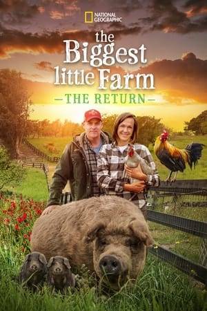 This special follows the farmers' 10-year tireless journey as they transform the land into a magical working farm and document the whole process in this heartwarming special that is akin to a real-life "Charlotte’s Web."
