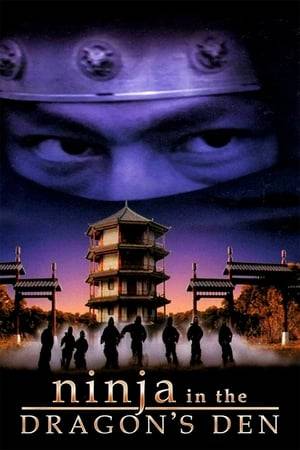 A Japanese master of ninjutsu and a Chinese expert in kung fu, put their differences aside after their master is killed by a mortal enemy.