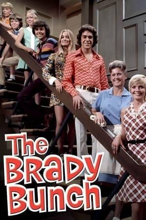 When widower Mike Brady marries a lovely lady widow Carol Ann, their two families become one. These are the misadventures of this new couple, their six children, a dog named Tiger, and quirky housekeeper Alice.