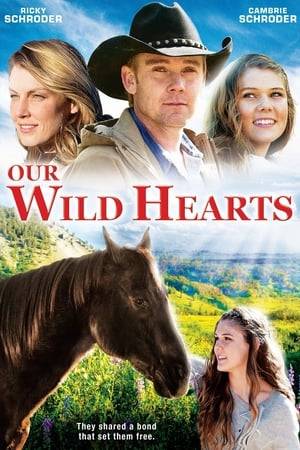 A wealthy teenage girl from Malibu falls in love with a beautiful wild mustang, adventure, and the father she has never known in the wild Sierra Nevada Mountains.