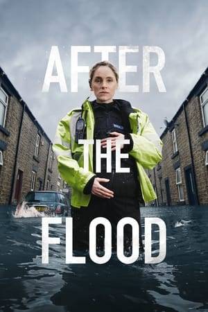 Joanna finds an unidentified man dead in a lift in a underground car park after a devastating flood, police assumes that he became trapped as the waters rose, but she is obsessed with discovering what happened to him.