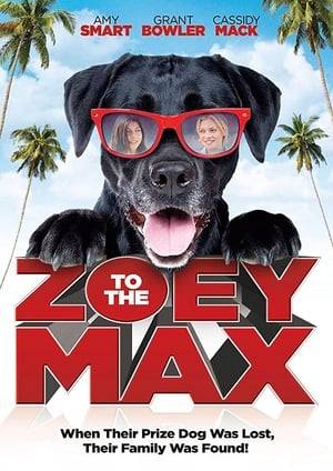 After running away and finally finding her dream forever home, 13 year old foster kid Zoey Manning suddenly finds herself in a fight to protect her new family and their beloved dog Max.