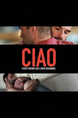 A man learns that his late friend had a secret online lover who is on the way from Italy.