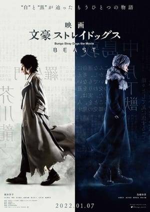 Set in an alternative world of Bungo Stray Dogs, this "what-if" story imagines if Atsushi Nakajima was in the Port Mafia and Ryūnosuke Akutagawa was in the Armed Detective Agency, instead of vice-versa. The story follows Ryūnosuke Akutagawa, who vows revenge on a man dressed in black in order to rescue his sister. However, as he is about to starve to death, a man from the Armed Detective Agency appears.