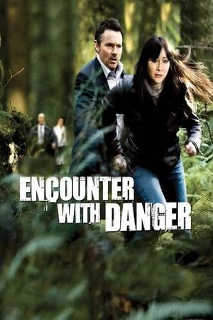 Lori's fiancee Jack disappears after she accompanies him on a business trip. After she discovers he was about to expose a corruption scandal, all traces of Jack's existence vanish as well. Does Jack really exist or is he a fragment of Lori's imagination? She sets out on a wild hunt for answers.