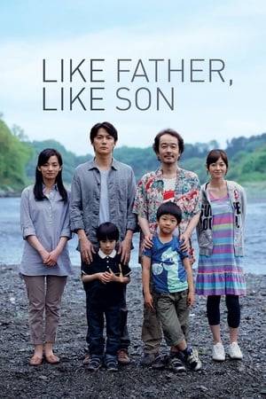 Ryota Nonomiya is a successful businessman driven by money. He learns that his biological son was switched with another child after birth. He must make a life-changing decision and choose his true son or the boy he raised as his own.