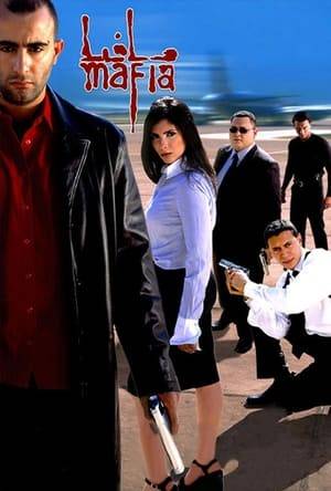 After his expulsion from the Military Academy, Hussain gets involved in mafia crimes abroad. Upon being deported to an Egyptian prison, and in order to give him a second chance to live a well meaning life, the Egyptian Intelligence Agency assign him with a secret mission. Hussain reluctantly accepts extensive bio-psychological training with a unique patriotic team who revive his love for his country.