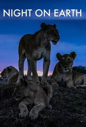 This nature series’ new technology lifts night’s veil to reveal the hidden lives of the world’s creatures, from lions on the hunt to bats on the wing.