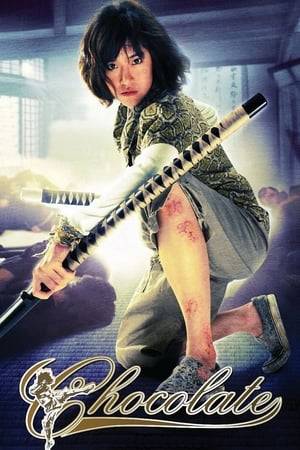 Zen, an autistic teenage girl with powerful martial arts skills, gets money to pay for her sick mother Zin's treatment by seeking out all the people who owe Zin money and making them pay.
