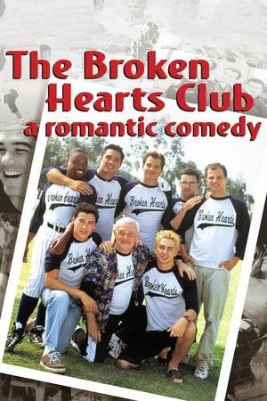 A close-knit group of gay friends share the emotional roller coster of life, relationships, the death of friends, new beginnings, jealousy, fatherhood and professional success. At various stages of life's disarray, these young men share humorous and tragic relationships and always have each other to rely on.