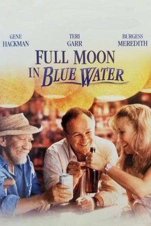 Floyd, the owner of a bar on the Texas coast, has been depressed for a year after his wife disappeared in a swimming accident. He lives with his senile father-in-law "The General" and is helped by Jimmy, a former asylum inmate, and the good-natured Louise. The bar is rapidly losing money and Charlie wants to buy it cheaply before it becomes publicly known that a nearby bridge is to be built. Louise offers her savings to go into partnership with Floyd, but Floyd decides to sell when he is forced to pay his back taxes.