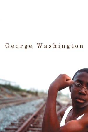 Set in the landscape of a rural southern town, "George Washington" is a stunning portrait of how a group of young kids come to grips with a hard world of choices and consequences. During an innocent game in an abandoned amusement park, a member of the group dies. Narrated by one of the children, the film follows the kids as they struggle to balance their own ambitions and relationships against a tragic lie.