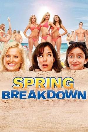 Three women in their thirties head to a popular Spring Break destination and try to relive the Spring Break they never had.