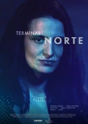 During the 2020 lockdown, Lucrecia Martel returns to her home in Salta, Argentina’s most conservative region. Here she follows Julieta Laso who, like a muse, introduces her to a group of female artists and defiant people who exchange glances and opinions around a fire.