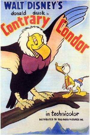 Donald is trying to collect a condor's egg when the condor returns. He hides inside an empty egg and regrets this when the large, warm mother returns. He regrets it even more when he "hatches" and mama encourages him to fly. And mama proves to be even more protective than Donald would like.