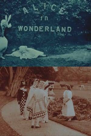 This is the first movie version of the famous story. Alice dozes in a garden, awakened by a dithering white rabbit in waistcoat with pocket watch. She follows him down a hole and finds herself in a hall of many doors.