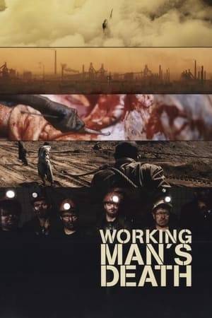 Is heavy manual labour disappearing or is it just becoming invisible? Where can we still find it in the 21st century? Workingman's Death follows the trail of the HEROES in the illegal mines of the Ukraine, sniffs out GHOST among the sulphur workers in Indonesia, finds itself face to face with LIONS at a slaughterhouse in Nigeria, mingles with BROTHERS as they cut a huge oil tanker into pieces in Pakistan, and joins Chinese steel workers in hoping for a glorious FUTURE.