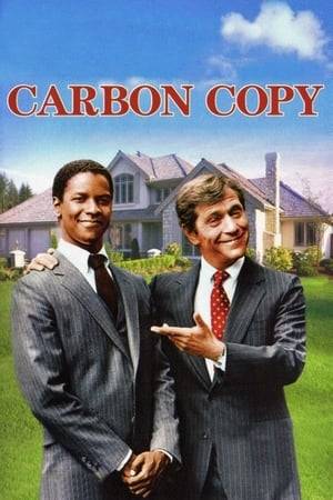 A middle-aged married wealthy white corporate executive is surprised to discover that he has a working-class black teen-age son who wants to be adopted into the almost-exclusively-white upper-middle-class community of San Marino, California.