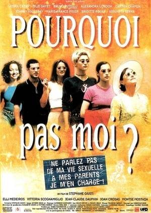 Four gay French expatriots share a business in Barcelona. When they and their parents are thrown together for a "coming out" party, another French Farce ensues.